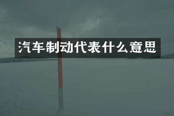 汽车制动代表什么意思