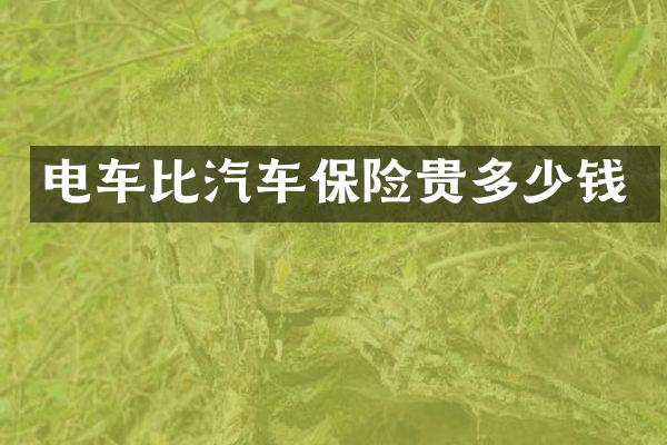 电车比汽车保险贵多少钱