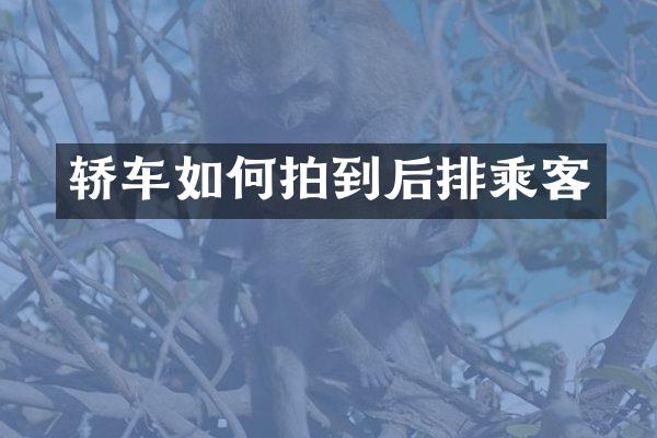 轿车如何拍到后排乘客