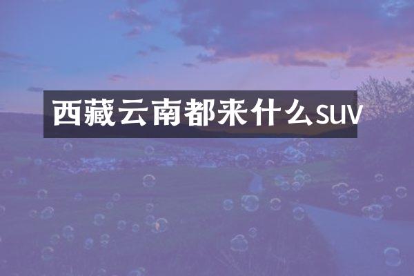 西藏云南都来什么suv