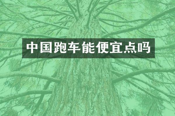 中国跑车能便宜点吗