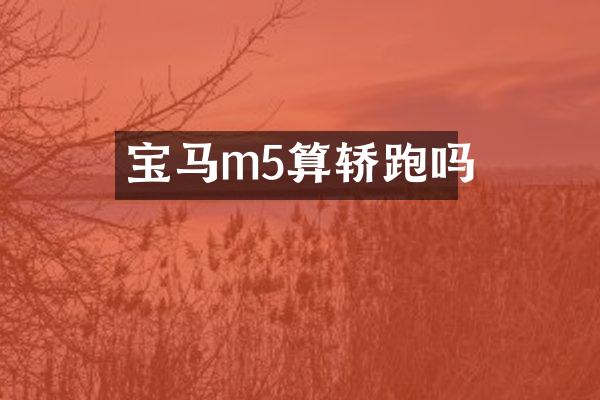 宝马m5算轿跑吗