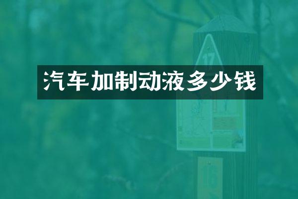 汽车加制动液多少钱
