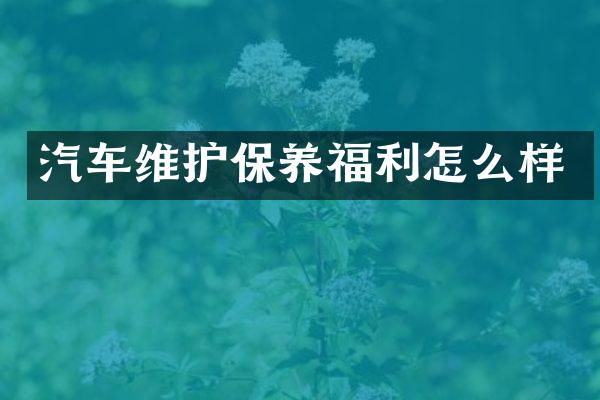 汽车维护保养福利怎么样