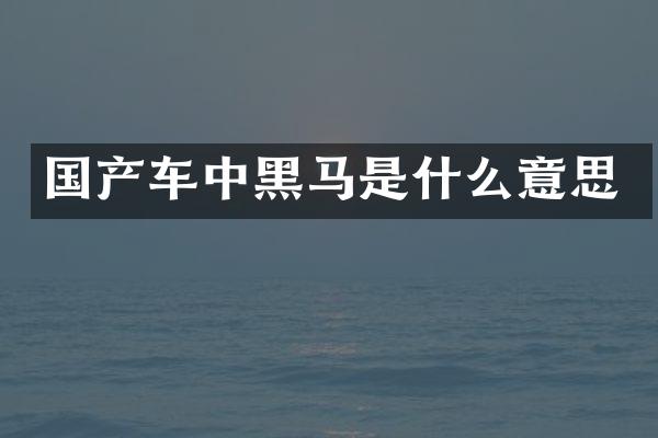 国产车中黑马是什么意思