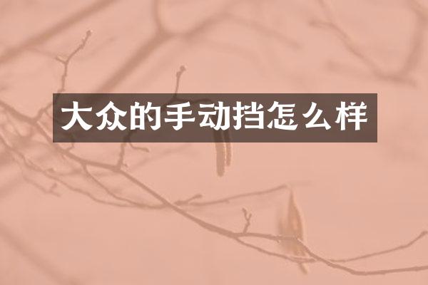 大众的手动挡怎么样
