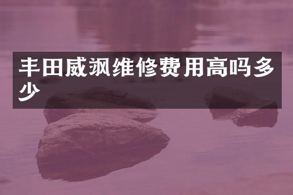 丰田威飒维修费用高吗多少