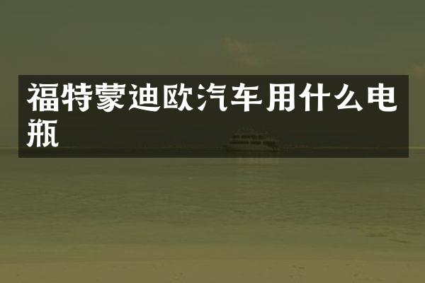 福特蒙迪欧汽车用什么电瓶