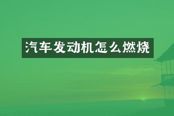 汽车发动机怎么燃烧