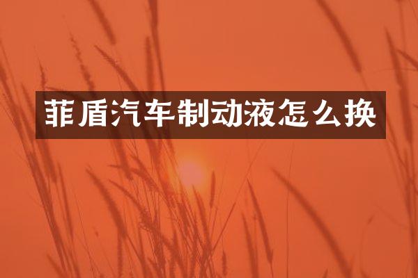 菲盾汽车制动液怎么换