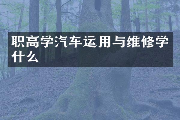 职高学汽车运用与维修学什么