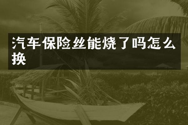 汽车保险丝能烧了吗怎么换