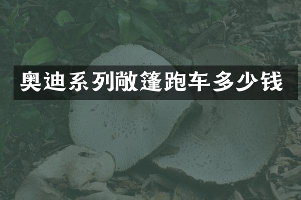 奥迪系列敞篷跑车多少钱