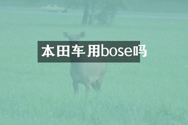 本田车用bose吗