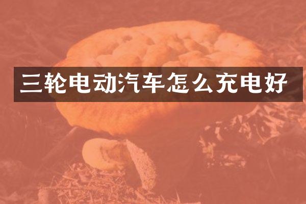 三轮电动汽车怎么充电好
