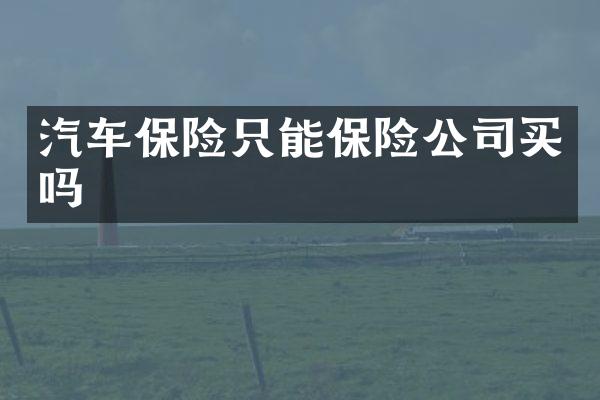 汽车保险只能保险公司买吗