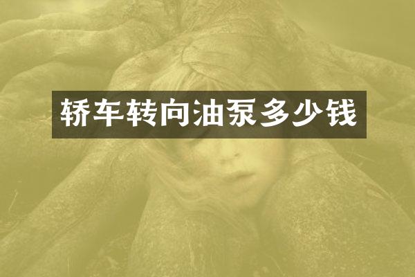 轿车转向油泵多少钱