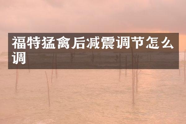 福特猛禽后减震调节怎么调