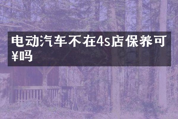 电动汽车不在4s店保养可以吗