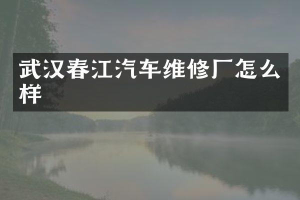 武汉春江汽车维修厂怎么样