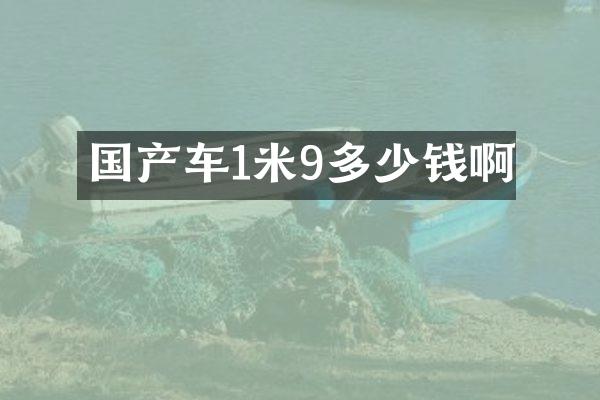 国产车1米9多少钱啊