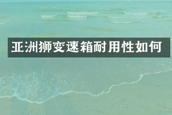 亚洲狮变速箱耐用性如何