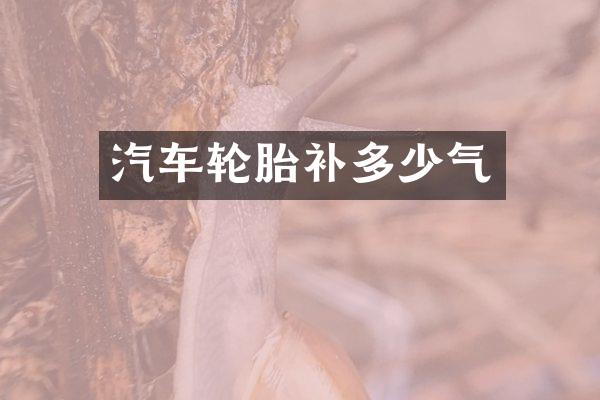 汽车轮胎补多少气