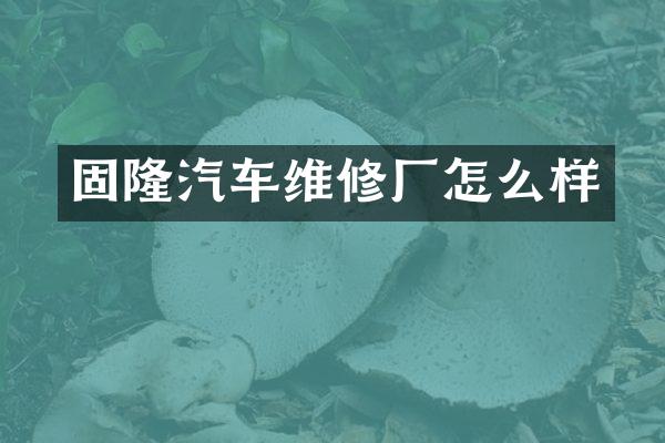 固隆汽车维修厂怎么样