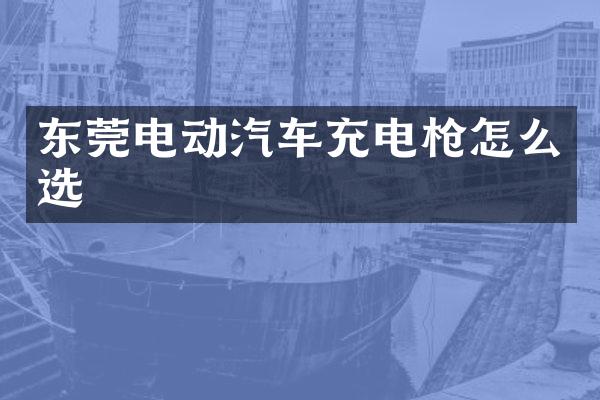 东莞电动汽车充电枪怎么选