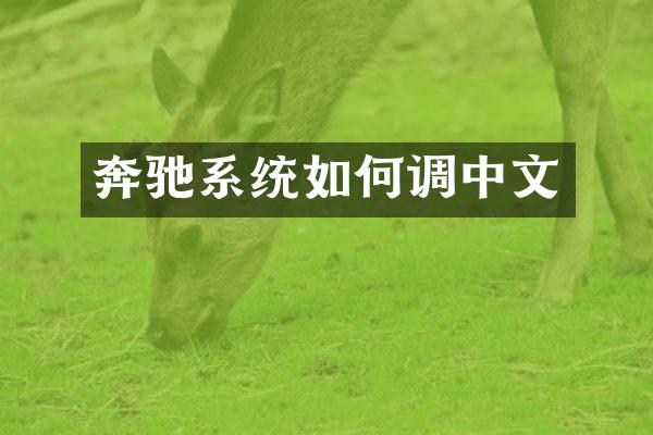 奔驰系统如何调中文