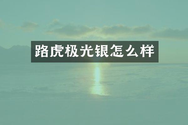 路虎极光银怎么样