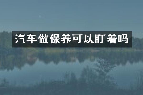 汽车做保养可以盯着吗