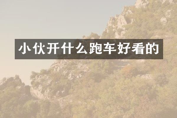 小伙开什么跑车好看的