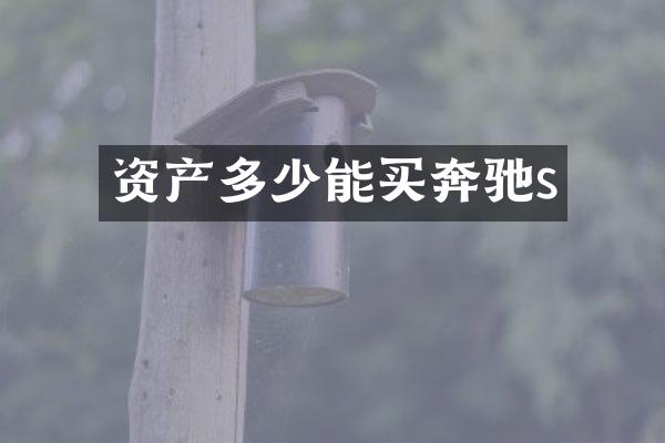 资产多少能买奔驰s