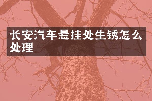 长安汽车悬挂处生锈怎么处理