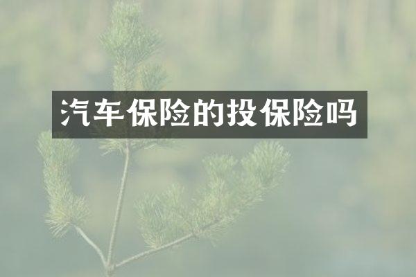 汽车保险的投保险吗