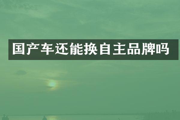 国产车还能换自主品牌吗