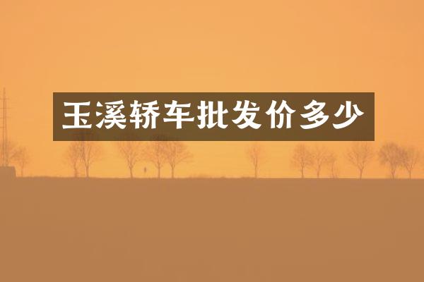 玉溪轿车批发价多少