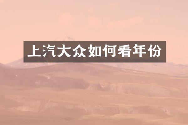 上汽大众如何看年份