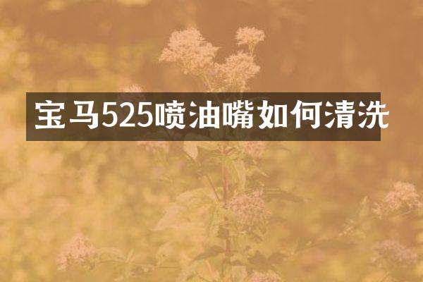 宝马525喷油嘴如何清洗