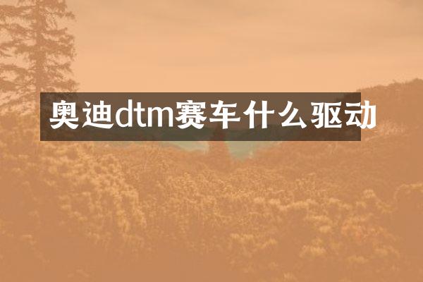 奥迪dtm赛车什么驱动