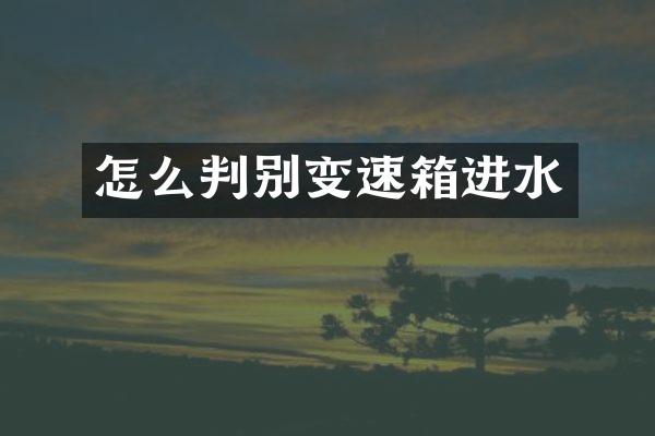 怎么判别变速箱进水