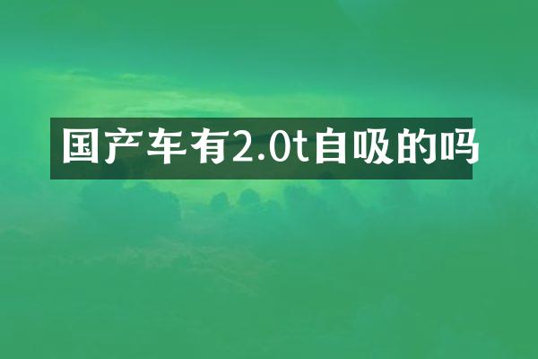国产车有2.0t自吸的吗