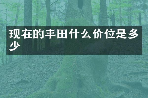 现在的丰田什么价位是多少