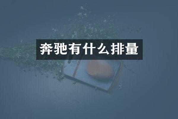 奔驰有什么排量