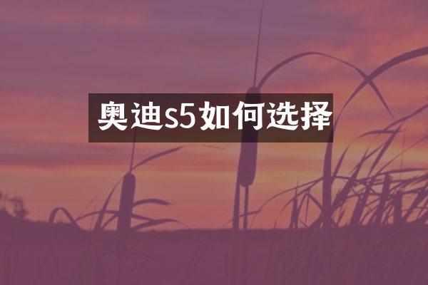 奥迪s5如何选择