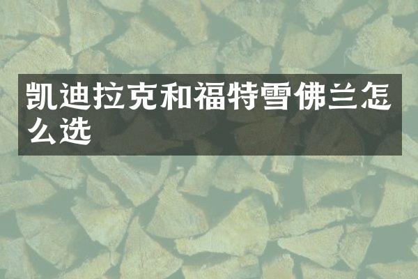 凯迪拉克和福特雪佛兰怎么选