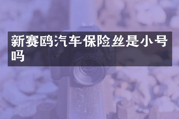 新赛鸥汽车保险丝是小号吗