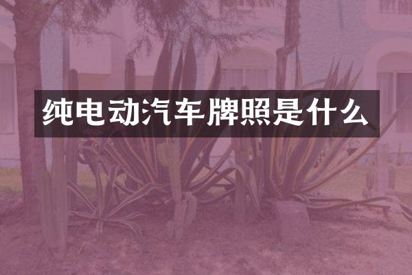 纯电动汽车牌照是什么