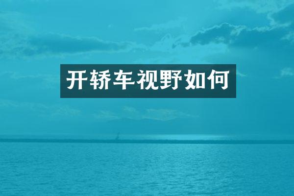 开轿车视野如何